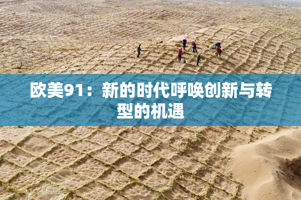 欧美91：新的时代呼唤创新与转型的机遇
