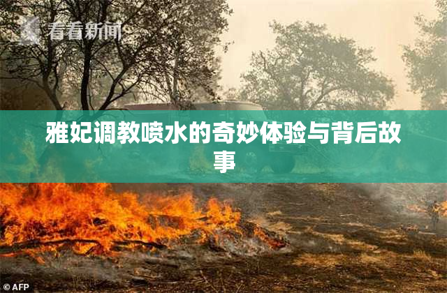 雅妃调教喷水的奇妙体验与背后故事