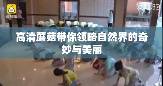高清蘑菇带你领略自然界的奇妙与美丽