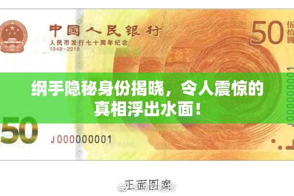 纲手隐秘身份揭晓，令人震惊的真相浮出水面！