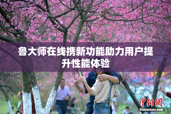 鲁大师在线携新功能助力用户提升性能体验