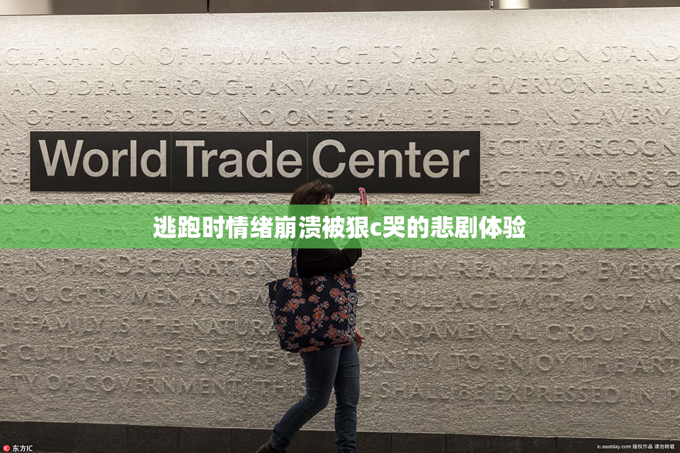 逃跑时情绪崩溃被狠c哭的悲剧体验
