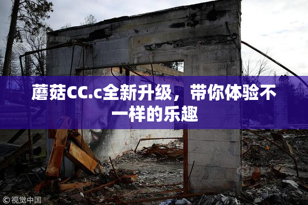 蘑菇CC.c全新升级，带你体验不一样的乐趣
