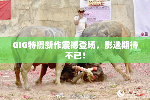 GIG特摄新作震撼登场，影迷期待不已！