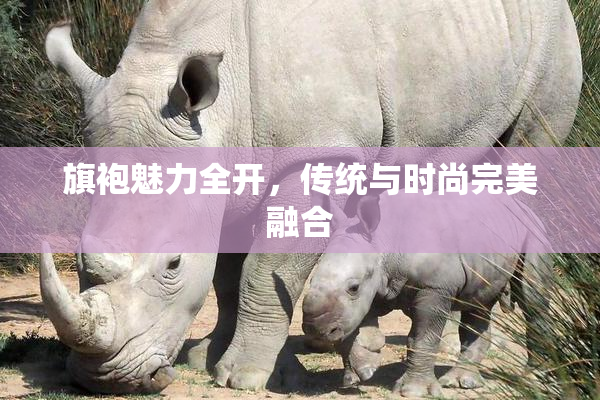 旗袍魅力全开，传统与时尚完美融合