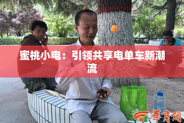 蜜桃小电：引领共享电单车新潮流
