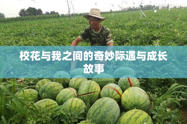 校花与我之间的奇妙际遇与成长故事