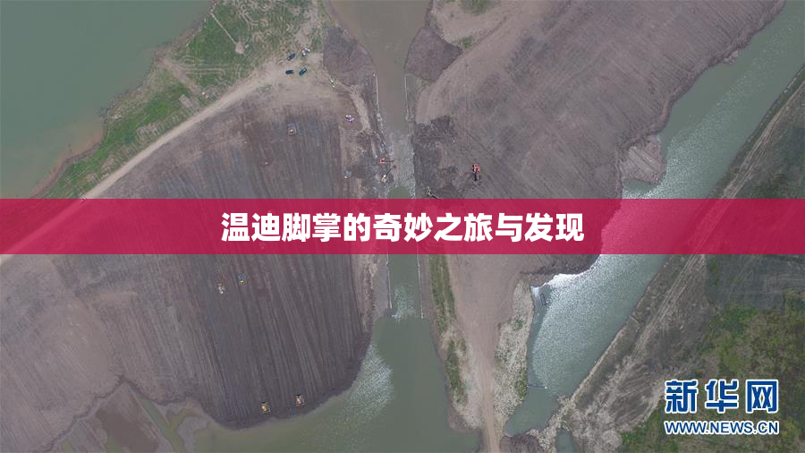 温迪脚掌的奇妙之旅与发现