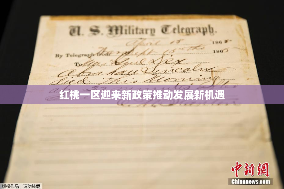 红桃一区迎来新政策推动发展新机遇