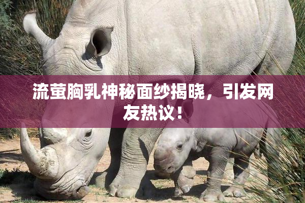 流萤胸乳神秘面纱揭晓，引发网友热议！