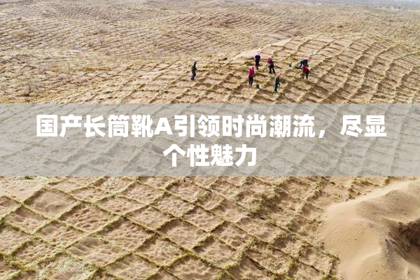 国产长筒靴A引领时尚潮流，尽显个性魅力