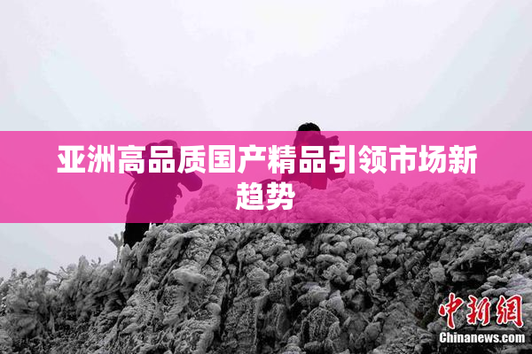 亚洲高品质国产精品引领市场新趋势