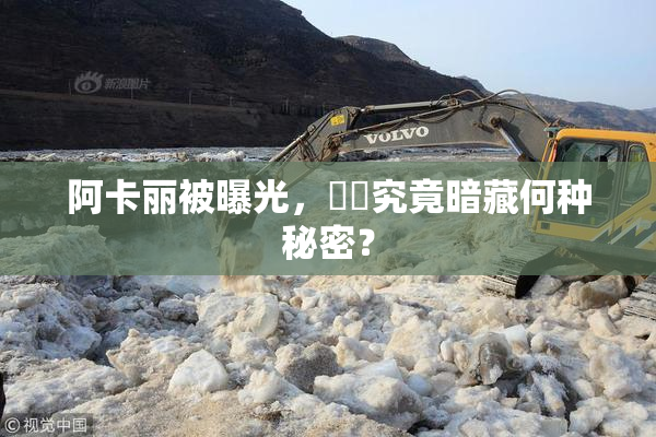 阿卡丽被曝光，❌‌究竟暗藏何种秘密？