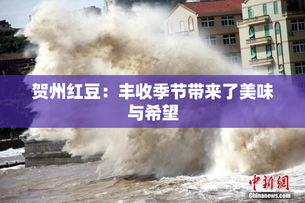 贺州红豆：丰收季节带来了美味与希望