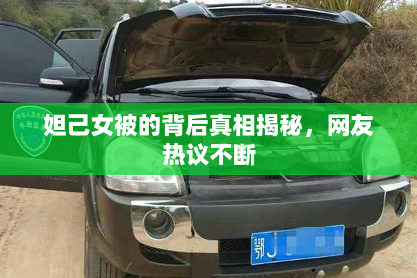 妲己女被的背后真相揭秘，网友热议不断
