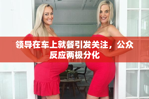领导在车上就餐引发关注，公众反应两极分化