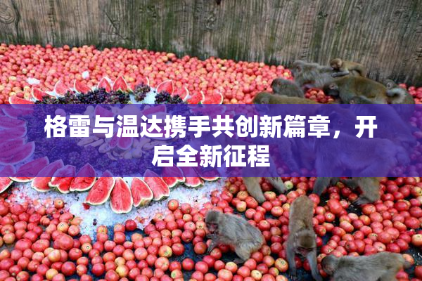 格雷与温达携手共创新篇章，开启全新征程