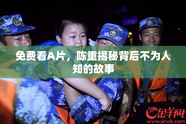 免费看A片，陈重揭秘背后不为人知的故事
