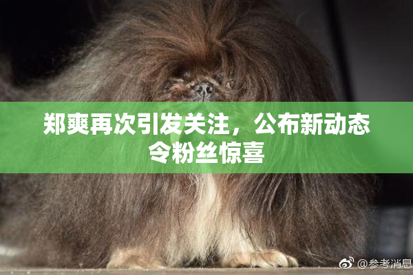 郑爽再次引发关注，公布新动态令粉丝惊喜