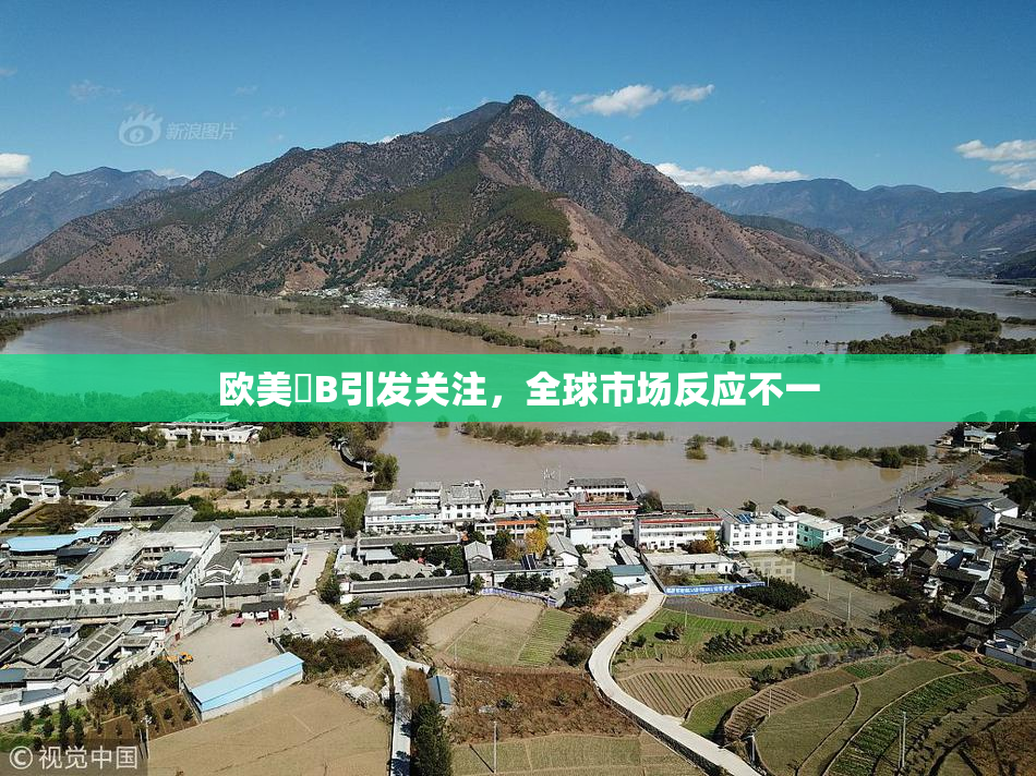 欧美槡B引发关注，全球市场反应不一