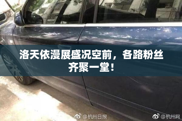 洛天依漫展盛况空前，各路粉丝齐聚一堂！