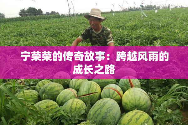 宁荣荣的传奇故事：跨越风雨的成长之路