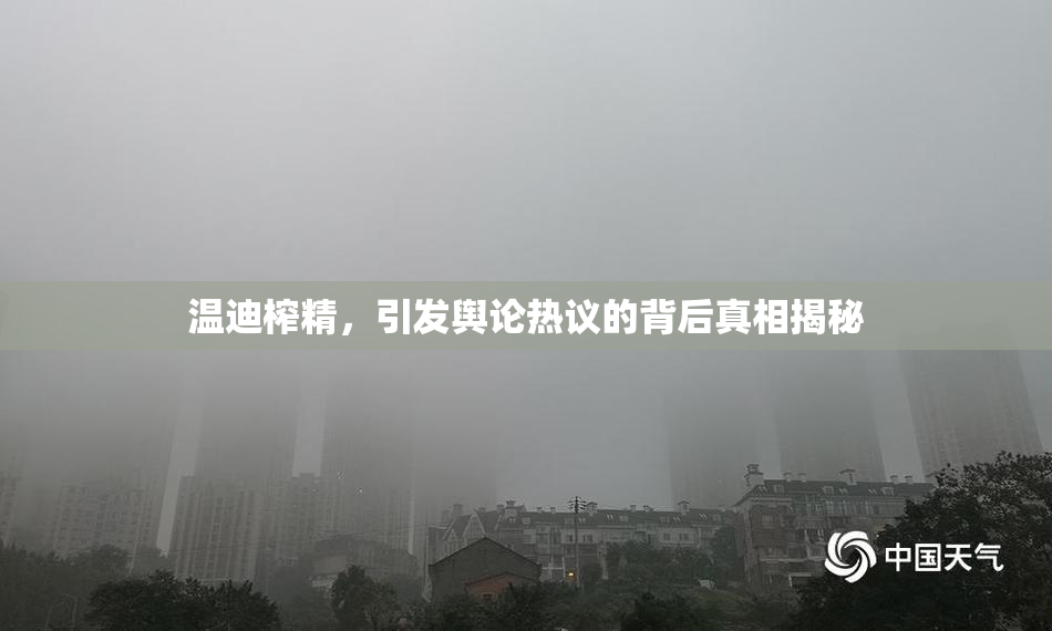 温迪榨精，引发舆论热议的背后真相揭秘