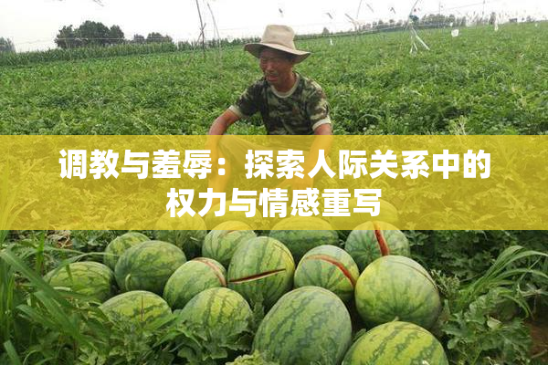调教与羞辱：探索人际关系中的权力与情感重写