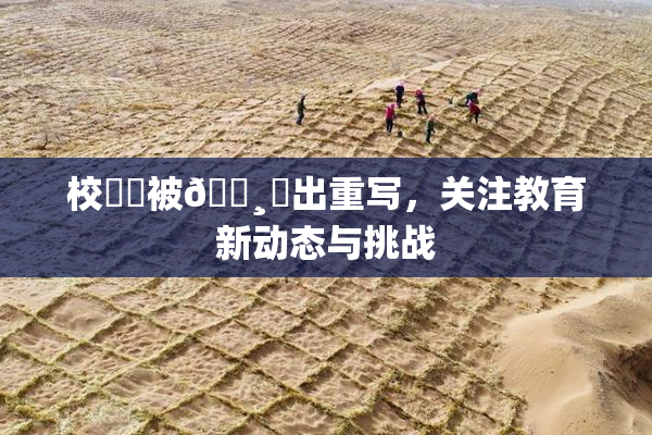 校❌‌被🌸‌出重写，关注教育新动态与挑战