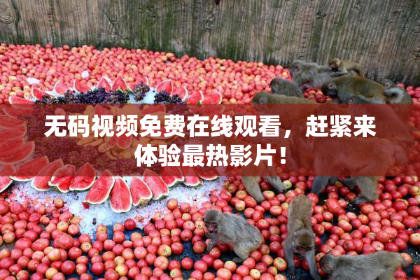 无码视频免费在线观看，赶紧来体验最热影片！