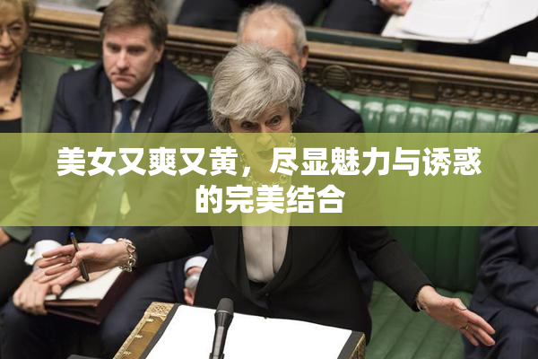 美女又爽又黄，尽显魅力与诱惑的完美结合