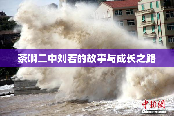 茶啊二中刘若的故事与成长之路