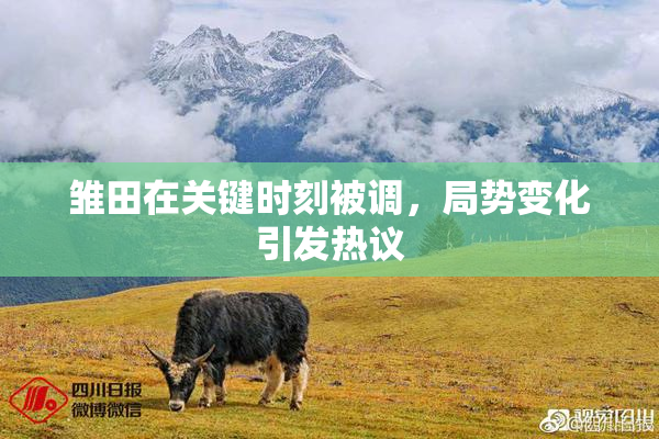 雏田在关键时刻被调，局势变化引发热议
