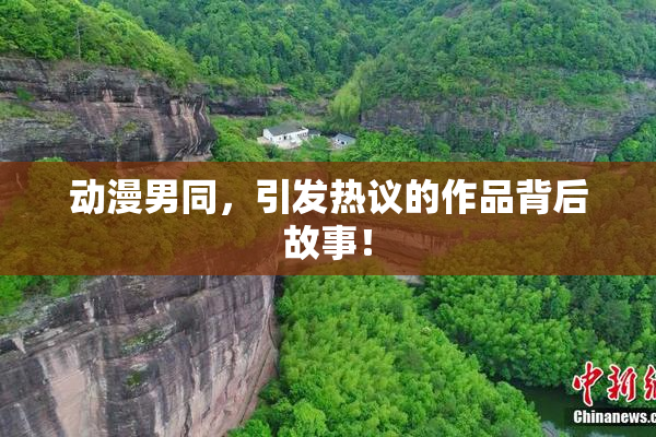 动漫男同，引发热议的作品背后故事！