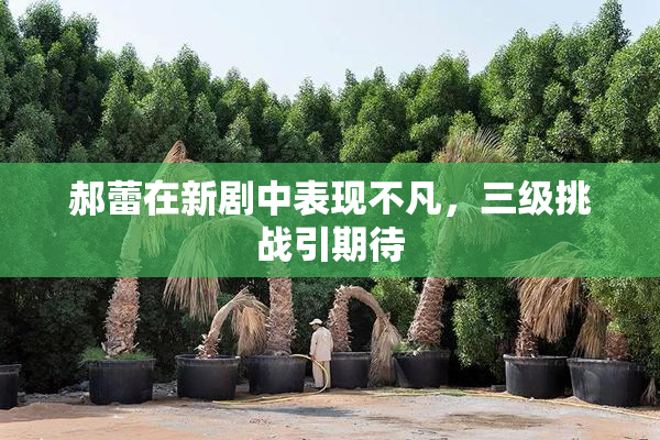 郝蕾在新剧中表现不凡，三级挑战引期待
