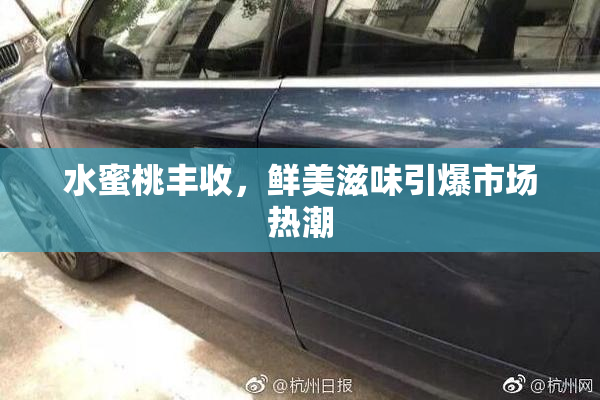 水蜜桃丰收，鲜美滋味引爆市场热潮