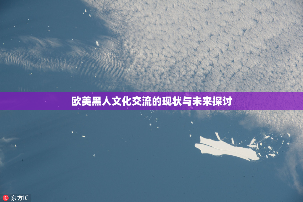 欧美黑人文化交流的现状与未来探讨