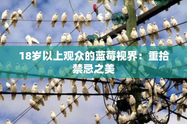 18岁以上观众的蓝莓视界：重拾禁忌之美