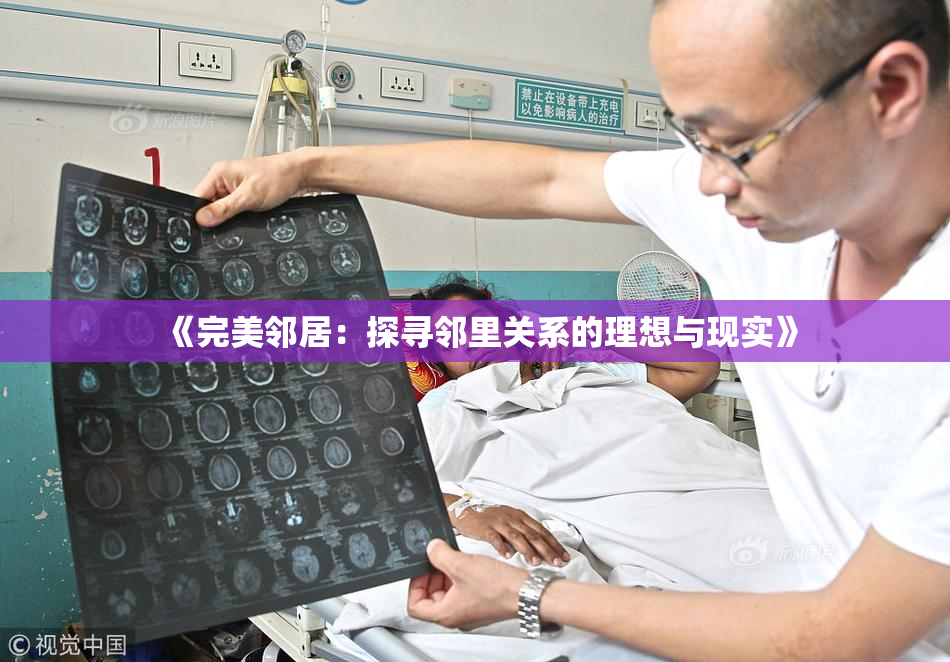 《完美邻居：探寻邻里关系的理想与现实》