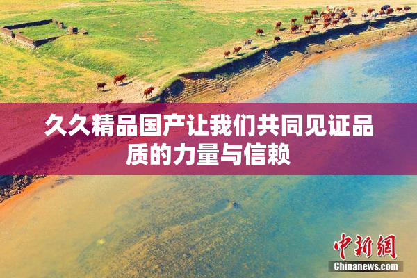 久久精品国产让我们共同见证品质的力量与信赖