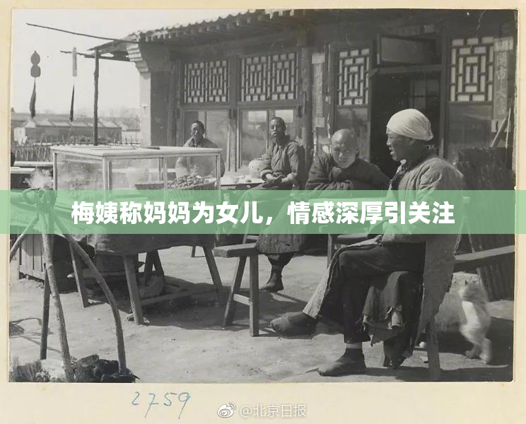 梅姨称妈妈为女儿，情感深厚引关注