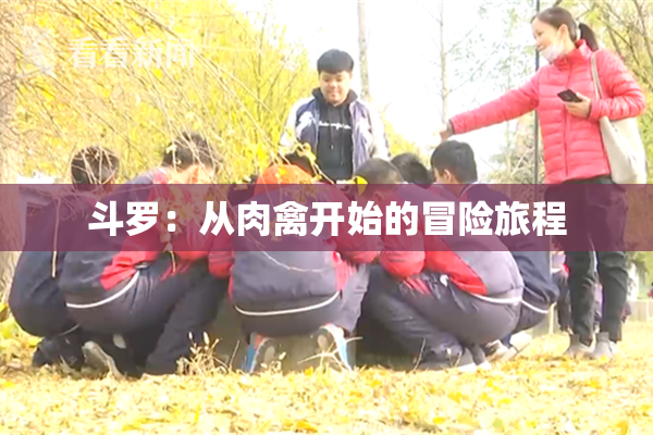斗罗：从肉禽开始的冒险旅程