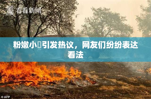 粉嫩小泬引发热议，网友们纷纷表达看法