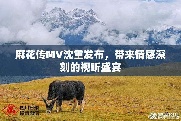 麻花传MV沈重发布，带来情感深刻的视听盛宴