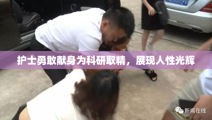 护士勇敢献身为科研取精，展现人性光辉