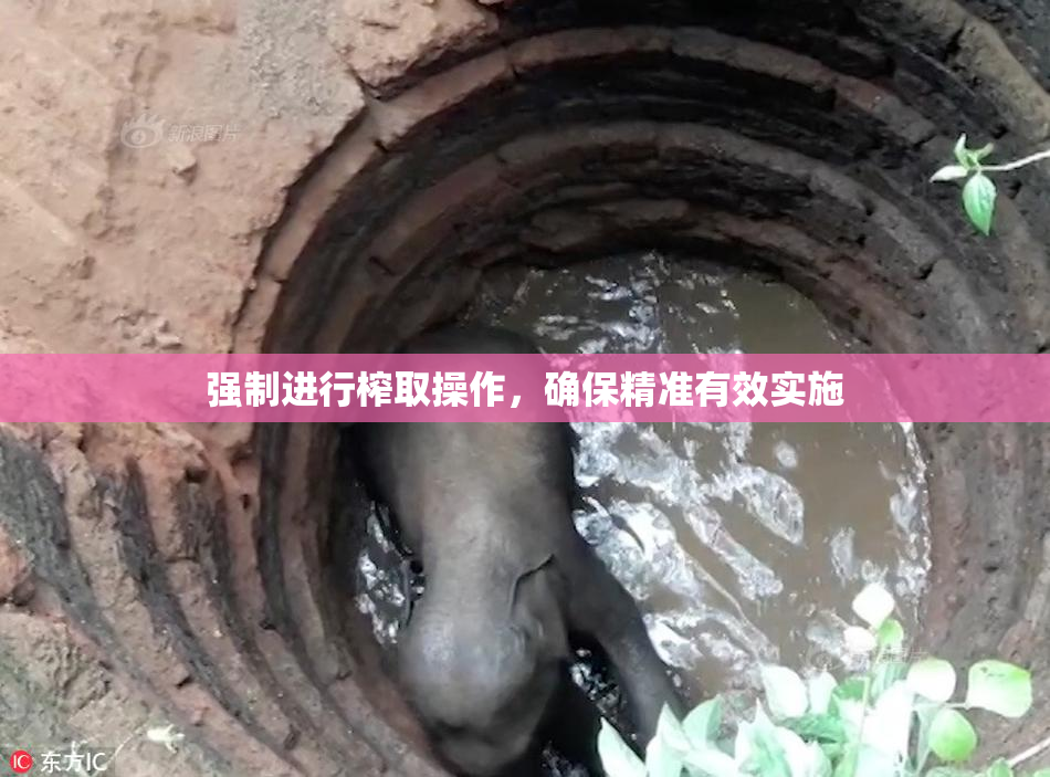 强制进行榨取操作，确保精准有效实施