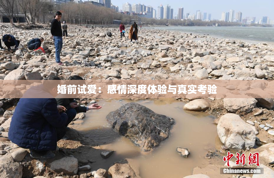 婚前试爱：感情深度体验与真实考验