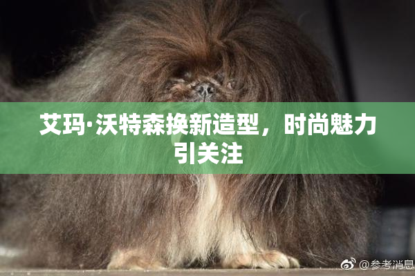 艾玛·沃特森换新造型，时尚魅力引关注