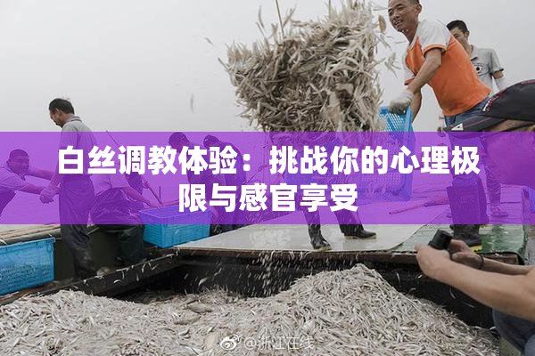 白丝调教体验：挑战你的心理极限与感官享受