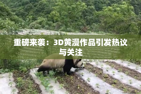 重磅来袭：3D黄漫作品引发热议与关注